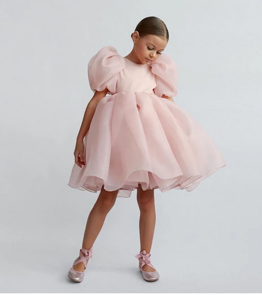 Tulle Puff Sleeve Dress